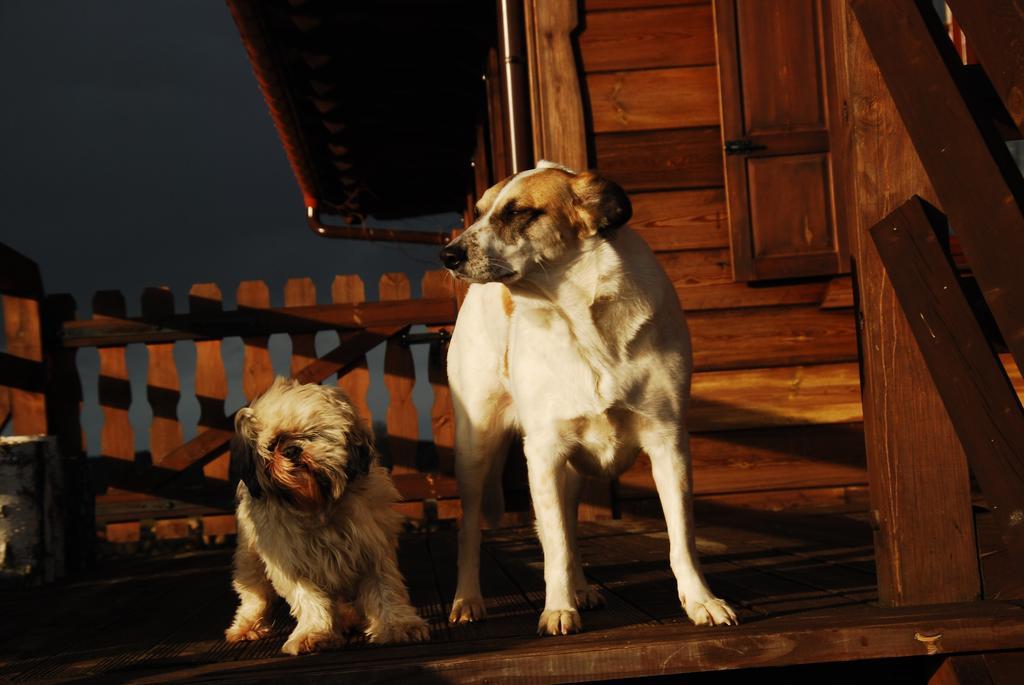 Dwor Labedzie W Kiermusach Kiermusy Buitenkant foto