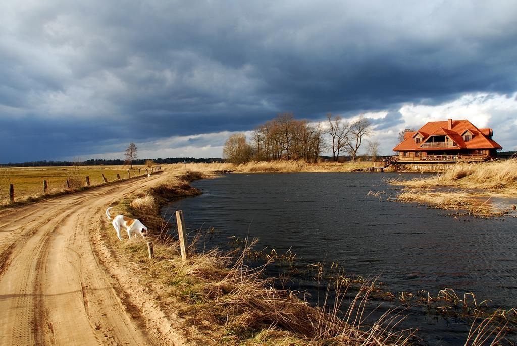 Dwor Labedzie W Kiermusach Kiermusy Buitenkant foto