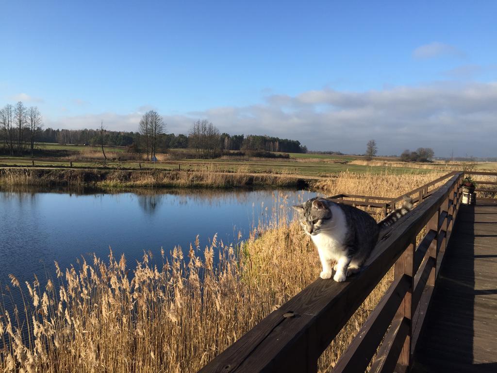 Dwor Labedzie W Kiermusach Kiermusy Buitenkant foto